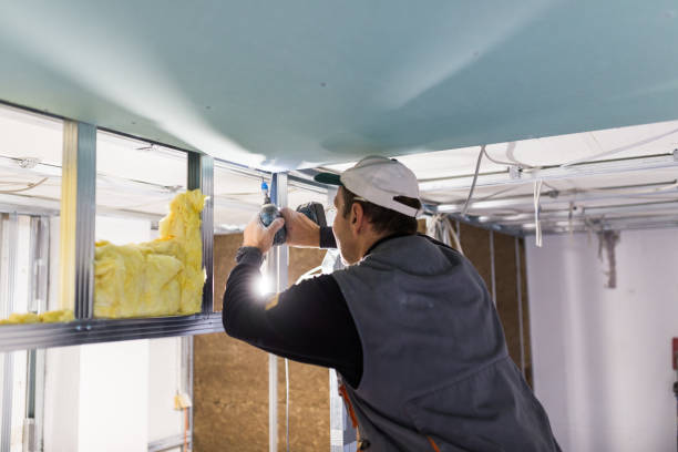 Best Specialized Insulation Services in Oceano, CA